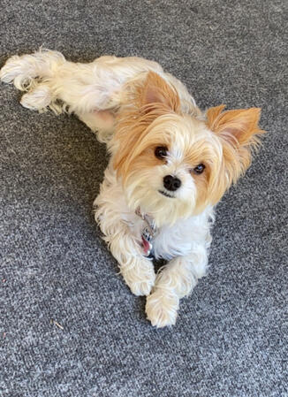 Marley